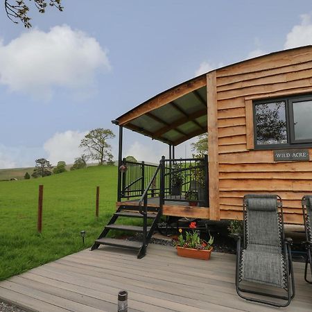 Llangadog Wild Acre 빌라 외부 사진